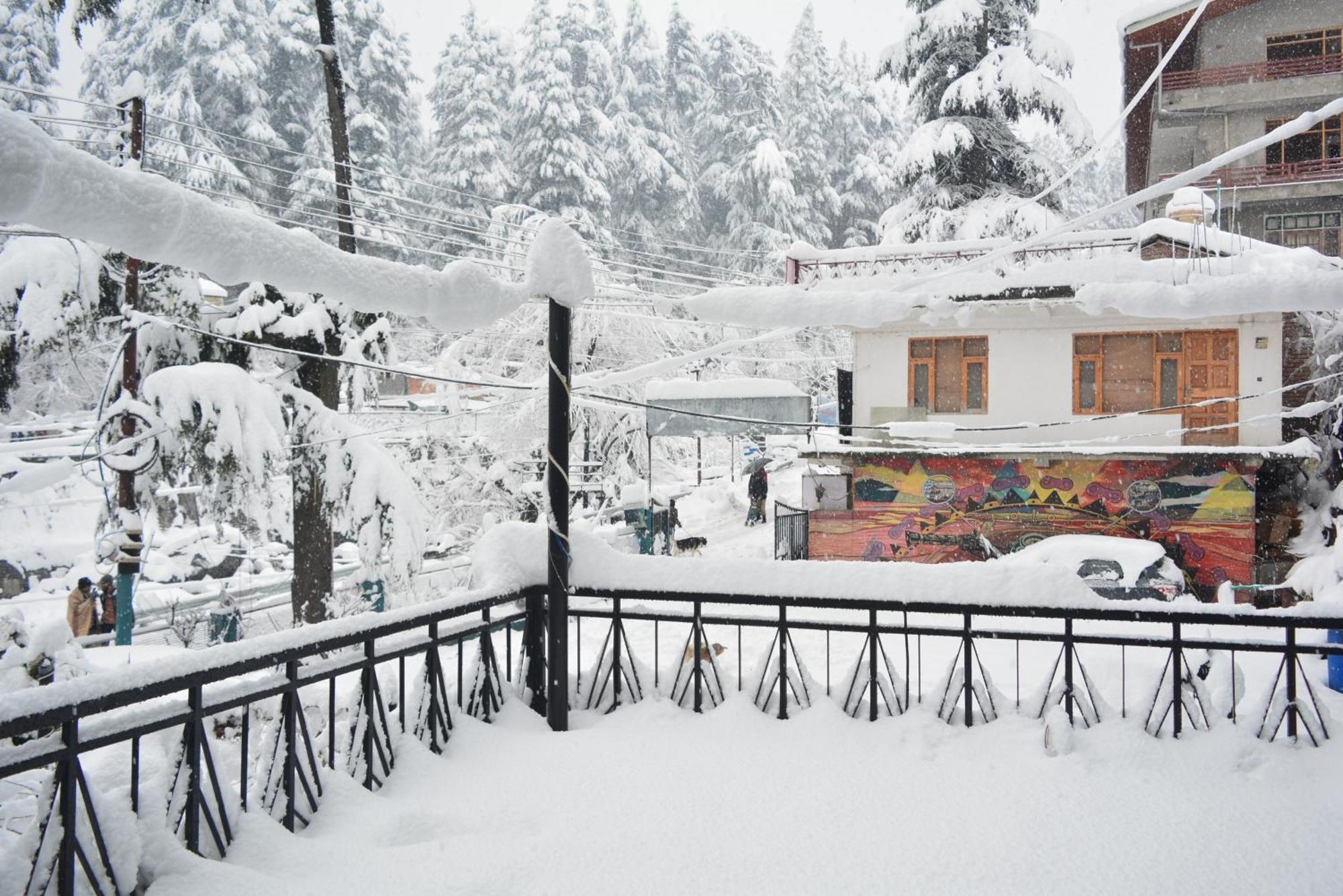 Hotel Neelgiri - Manali Diaries المظهر الخارجي الصورة